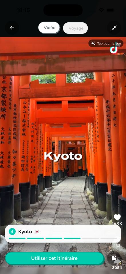 Inspiration : une vidéo TikTok importée dans Palima
