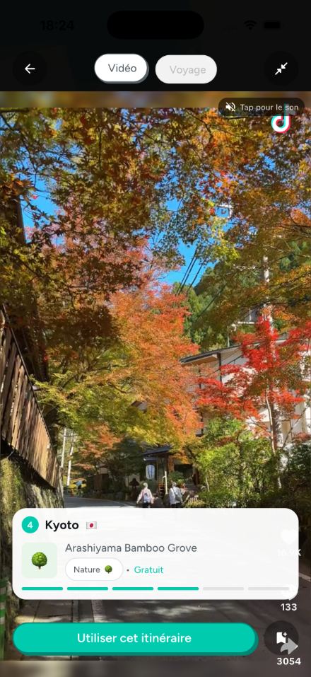 Vidéo TikTok de Kyoto : l'activité repérée s'affiche
